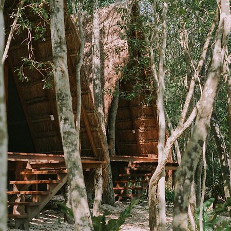 7 Cielos Bacalar. المظهر الخارجي الصورة